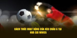 Cách Thức Hoạt Động Của Kèo Châu Á Tại Nhà Cái Win55