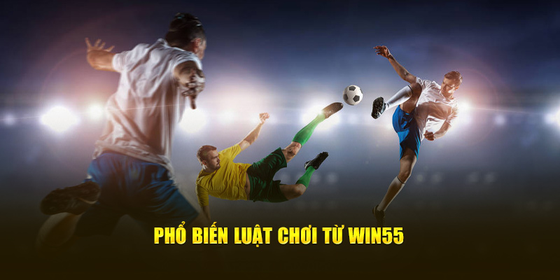 Phổ biến luật chơi từ Win55